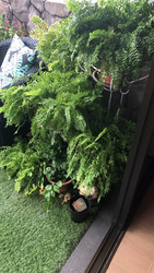 Braddell View (D20), Apartment #475640181